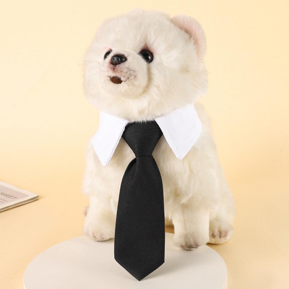 13-27 ซม.อย่างเป็นทางการสุนัข  - Suit Supply Wedding Party บทวิจารณ์และราคา