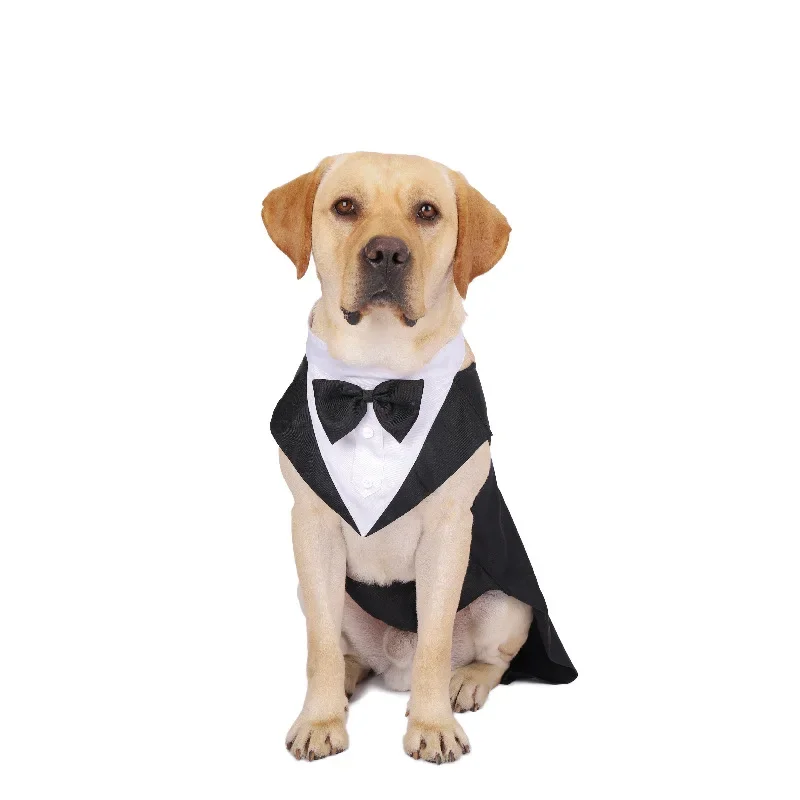 เสื้อผ้าสุนัขสำหรับงานแต่งงาน  - Suit Supply Wedding Party บทวิจารณ์และราคา