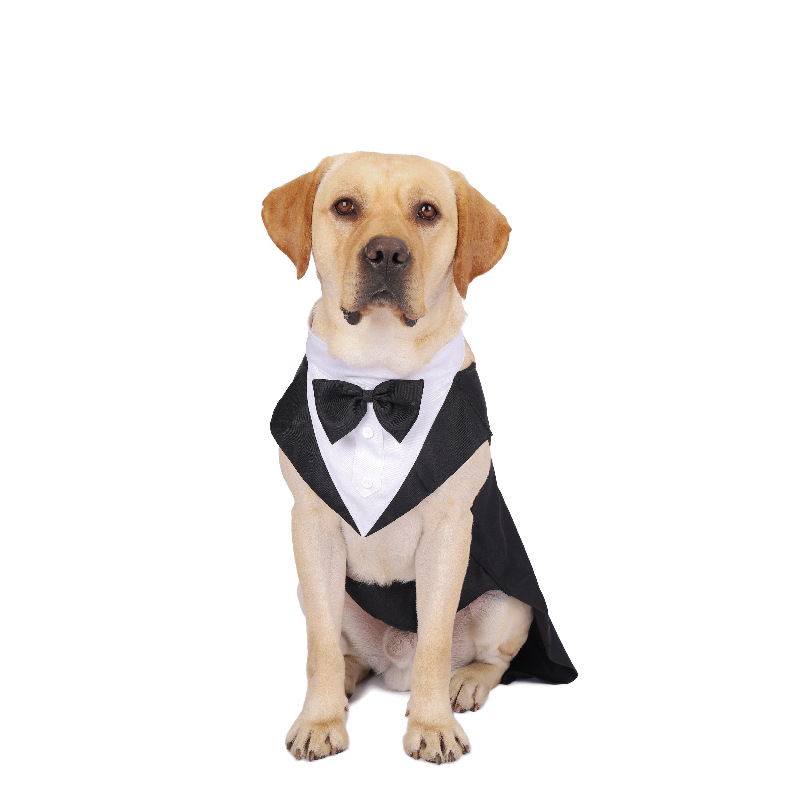 สัตว์เลี้ยงสุนัขเสื้อผ้าแฟชั่น - Suit Supply Wedding Party บทวิจารณ์และราคา