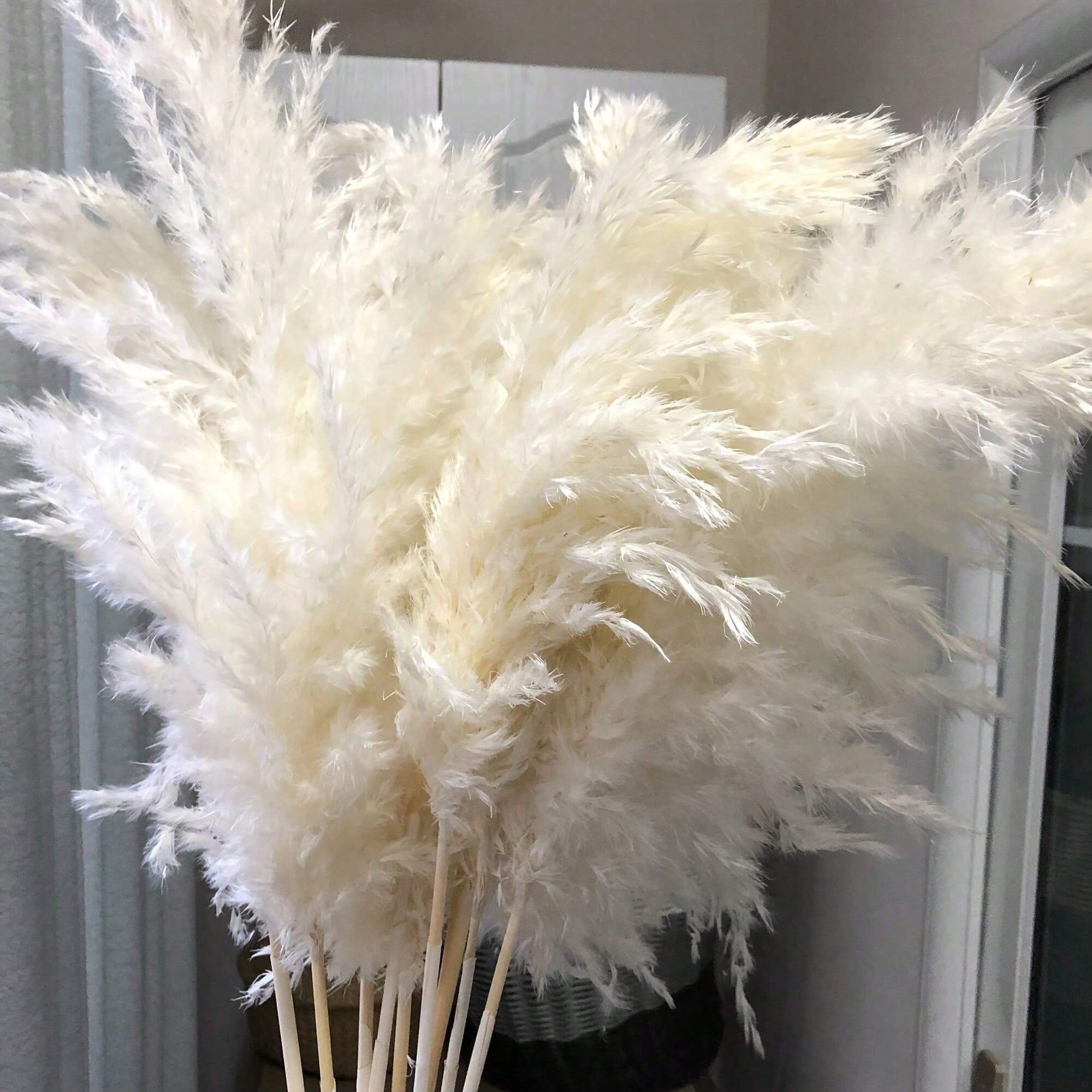 10/20/30 ชิ้น หญ้าแพมพัสประดิษ - Wedding Arch Flower บทวิจารณ์และราคา