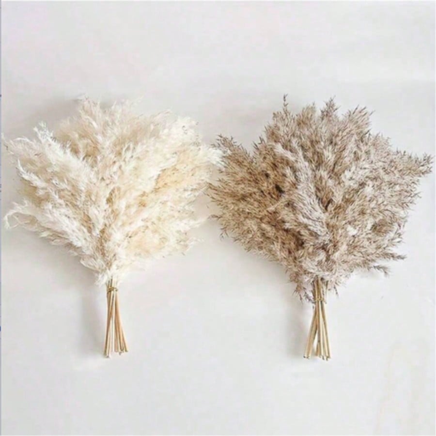 10/20/30 ชิ้น หญ้าแพมพัสประดิษ - Wedding Arch Flower บทวิจารณ์และราคา