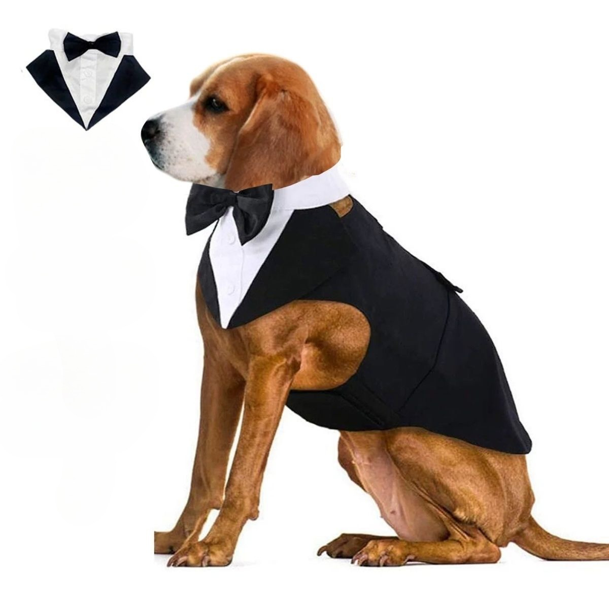 เสื้อผ้าสุนัขแฟชั่นสำหรับงานปา - Suit Supply Wedding Party บทวิจารณ์และราคา
